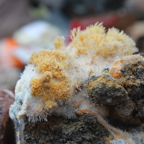 Эксгаляционные минералы из фумаролы Арсенатная, Камчатка