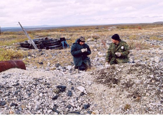 Кольский полуостров. Вороньи Тундры: отвалы шурфов на редкометальном месторождении Васин-мыльк участкими почти наполовину состоят из поллуцита.