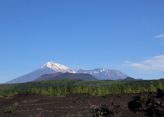 Камчатка. Вулканический массив Толбачик.